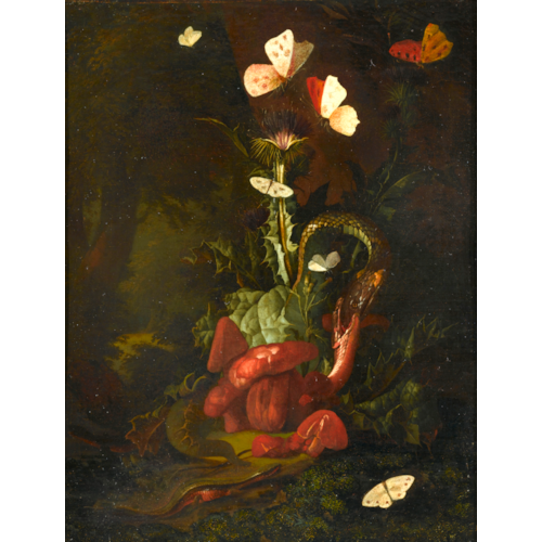 A Forest Floor Landscape with a Thistle, Fungi, Moths, a Lizard and Snakes
